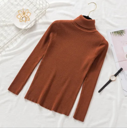 Women Knitted Turtleneck Sweater