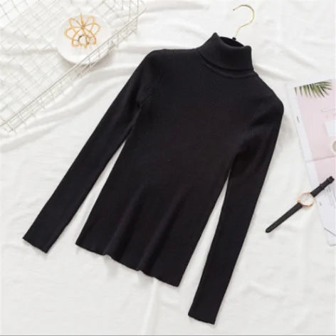 Women Knitted Turtleneck Sweater