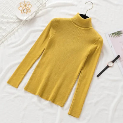 Women Knitted Turtleneck Sweater