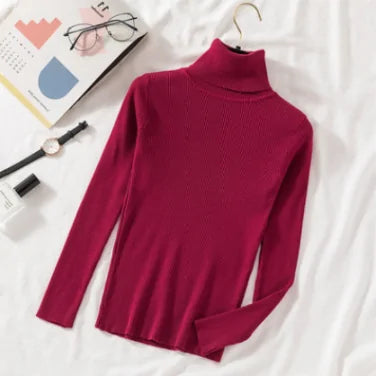 Women Knitted Turtleneck Sweater